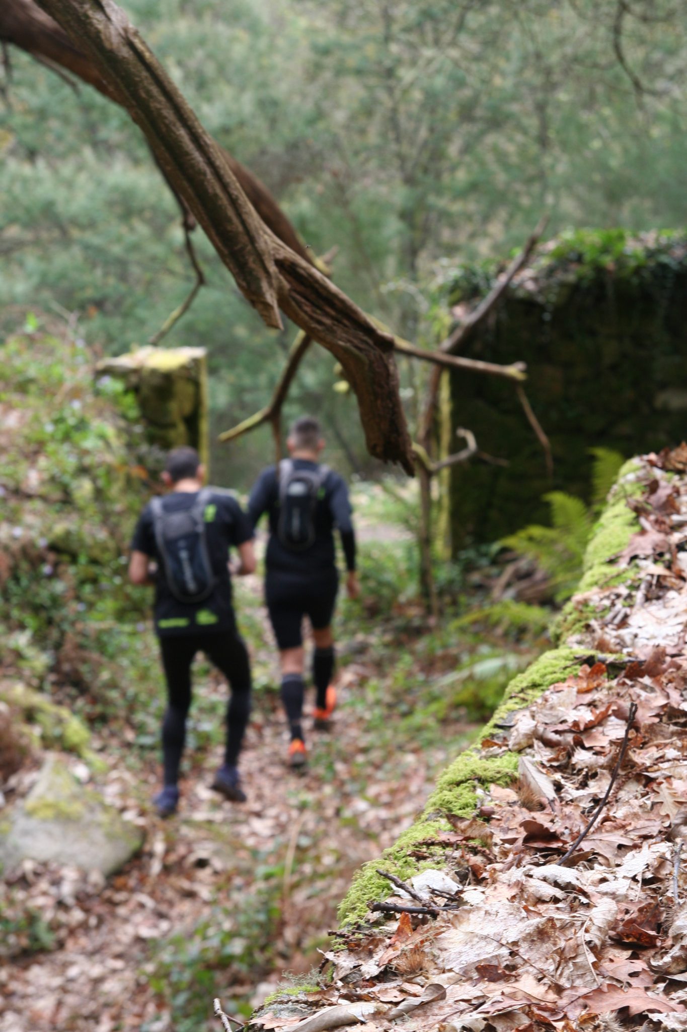 Territorio-Comanche | Actividades outdoor | Pruebas aventura orientación naturaleza | Pontevedra Galicia