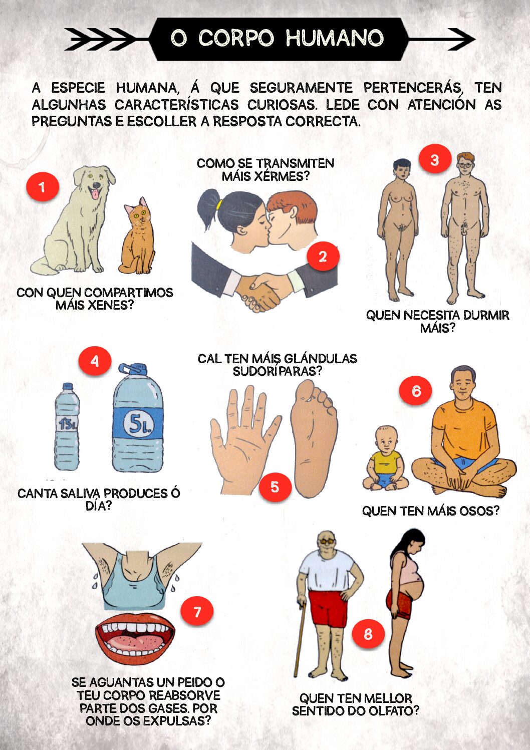 O CORPO HUMANO